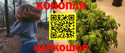 тгк Будённовск