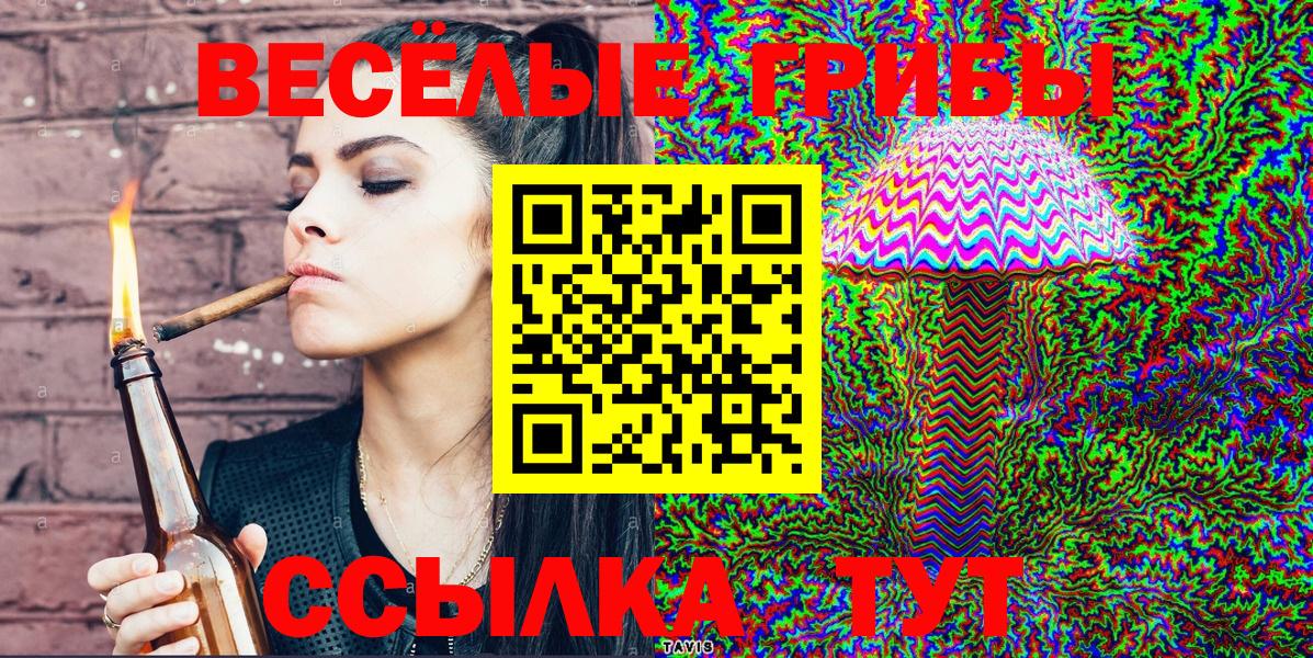 Галлюциногенные грибы GOLDEN TEACHER  как найти закладки  Урюпинск  Вход с VPN 