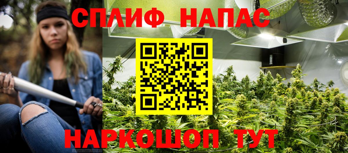 Конопля планчик  Бошки Шишки OG Kush  Урюпинск  Вход с VPN 